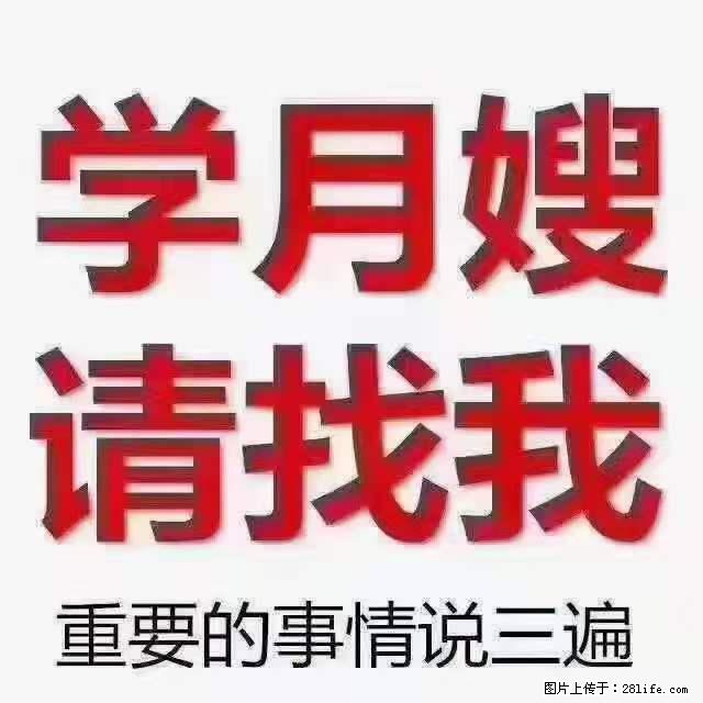 为什么要学习月嫂，育婴师？ - 其他广告 - 广告专区 - 黔南分类信息 - 黔南28生活网 qn.28life.net