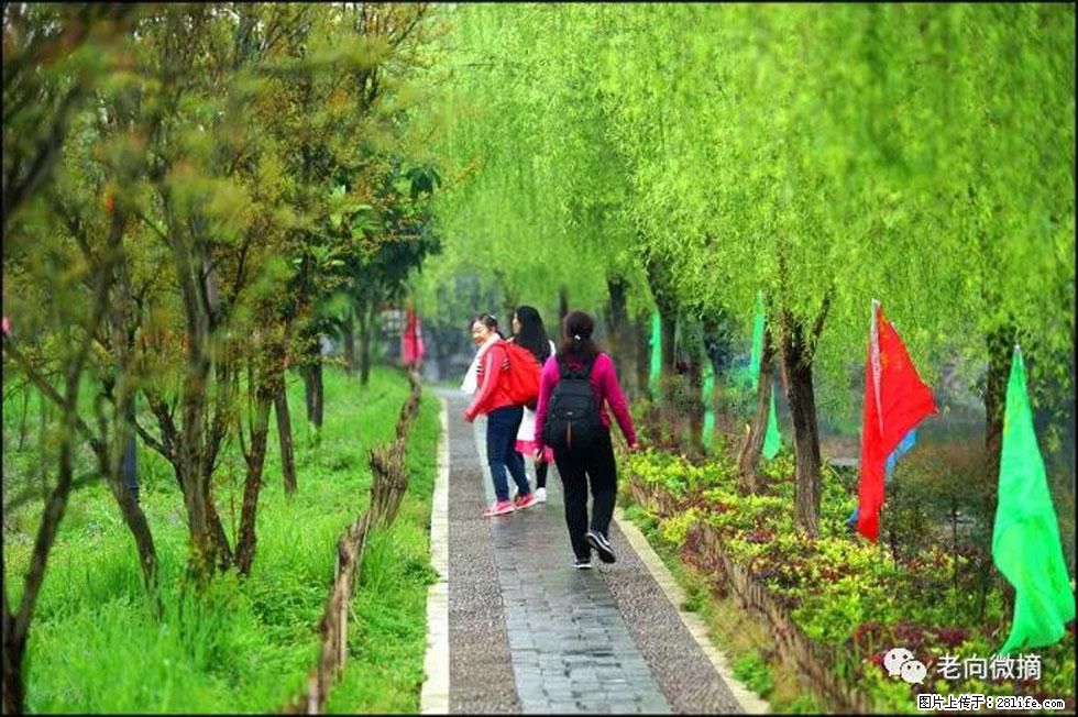 【春天,广西桂林灌阳县向您发出邀请!】江口老街又逢春 - 游山玩水 - 黔南生活社区 - 黔南28生活网 qn.28life.net