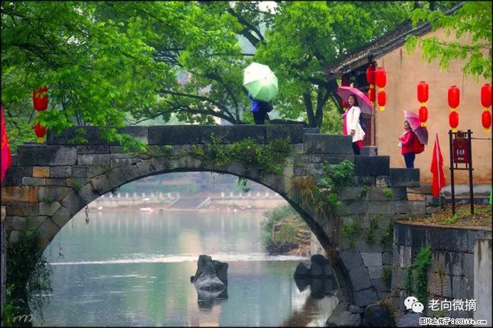 【春天,广西桂林灌阳县向您发出邀请!】江口老街又逢春 - 游山玩水 - 黔南生活社区 - 黔南28生活网 qn.28life.net