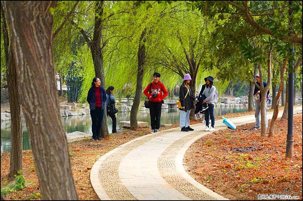 【春天,广西桂林灌阳县向您发出邀请!】江口老街又逢春 - 游山玩水 - 黔南生活社区 - 黔南28生活网 qn.28life.net