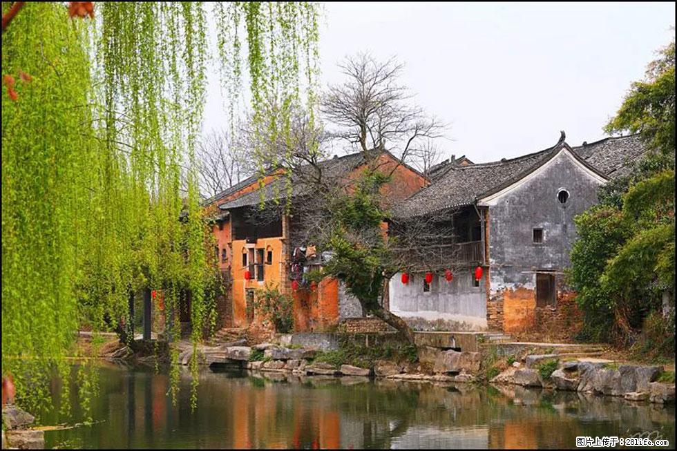 【春天,广西桂林灌阳县向您发出邀请!】江口老街又逢春 - 游山玩水 - 黔南生活社区 - 黔南28生活网 qn.28life.net