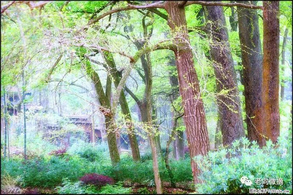 【春天，广西桂林灌阳县向您发出邀请！】在小龙村与春天约会 - 游山玩水 - 黔南生活社区 - 黔南28生活网 qn.28life.net