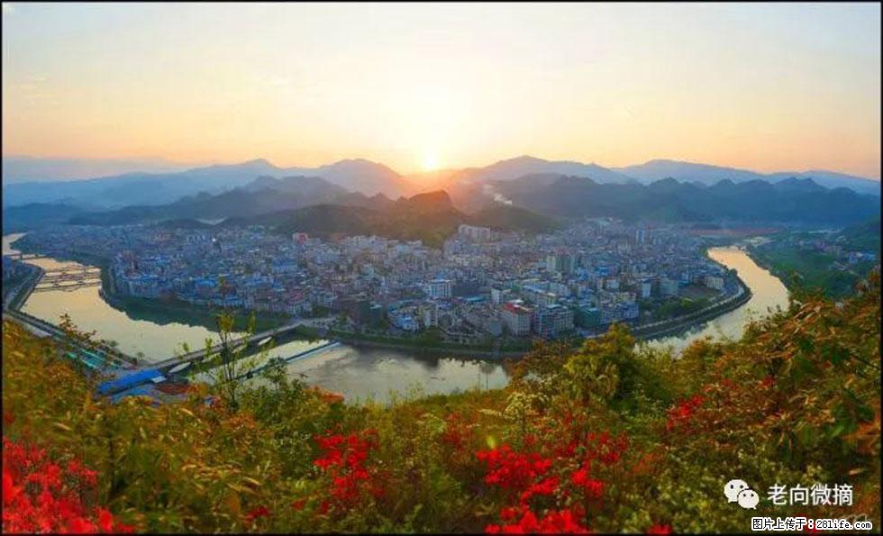 【春天，广西桂林灌阳县向您发出邀请！】登麒麟山，相约映山红 - 游山玩水 - 黔南生活社区 - 黔南28生活网 qn.28life.net