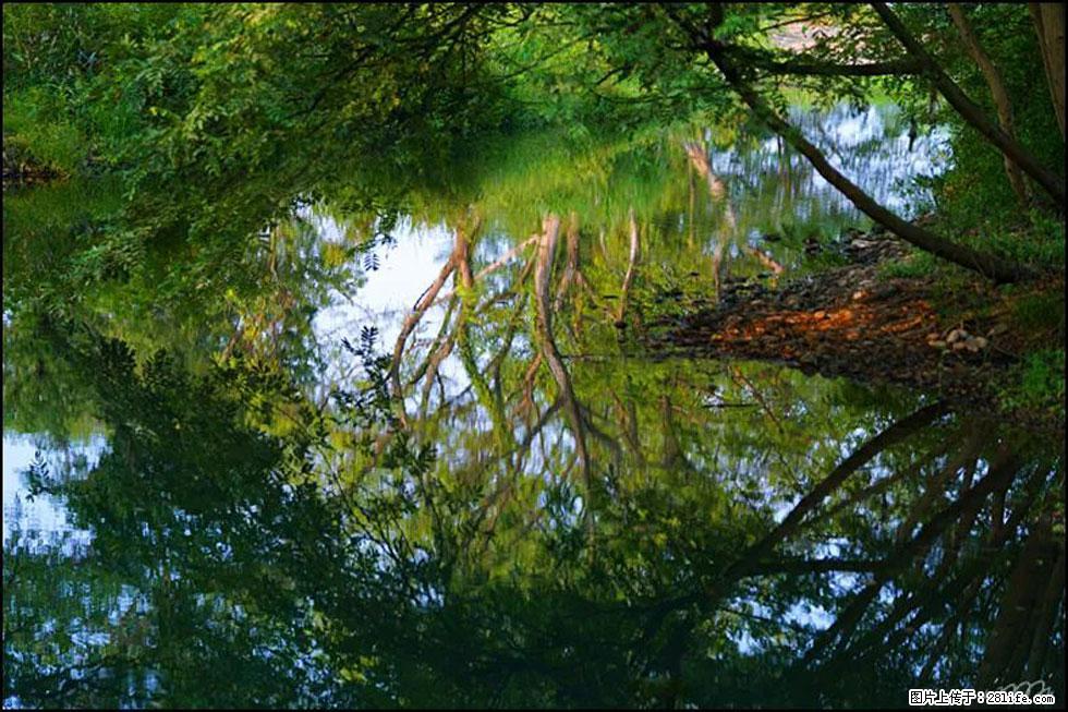 【春天，广西桂林灌阳县向您发出邀请！】熊家寨湿地公园 - 游山玩水 - 黔南生活社区 - 黔南28生活网 qn.28life.net