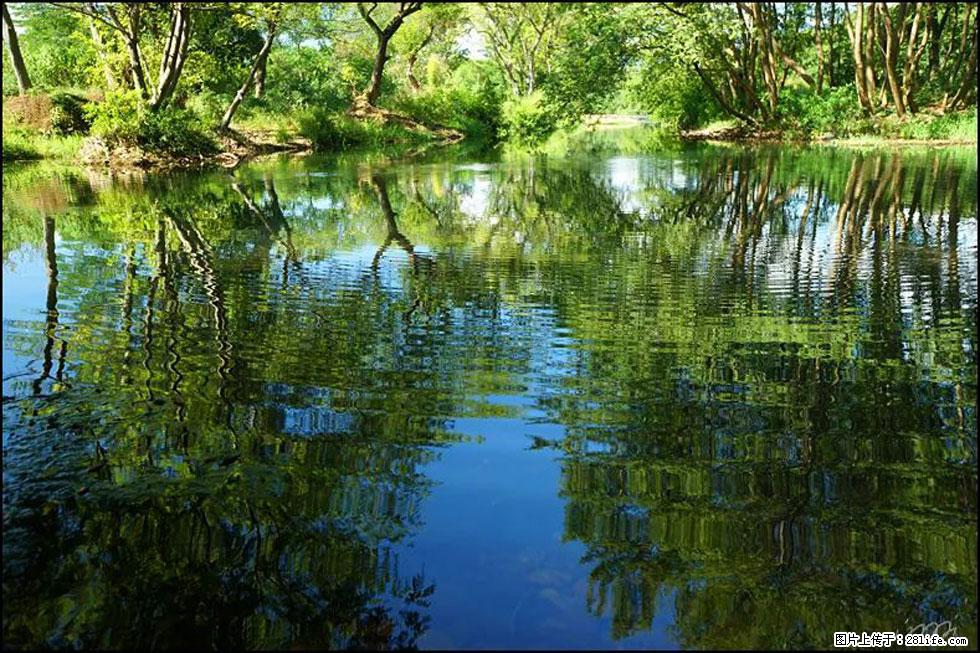 【春天，广西桂林灌阳县向您发出邀请！】熊家寨湿地公园 - 游山玩水 - 黔南生活社区 - 黔南28生活网 qn.28life.net