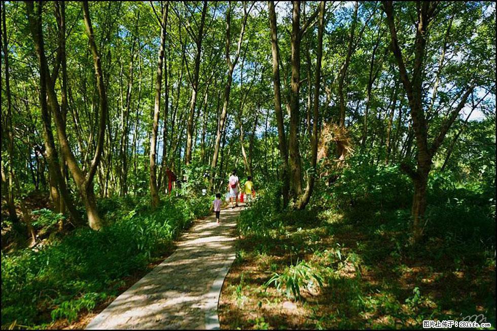 【春天，广西桂林灌阳县向您发出邀请！】熊家寨湿地公园 - 游山玩水 - 黔南生活社区 - 黔南28生活网 qn.28life.net