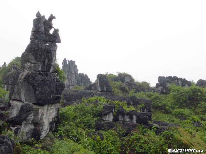 桂林旅游名城景点：灌阳文市石林 - 游山玩水 - 黔南生活社区 - 黔南28生活网 qn.28life.net