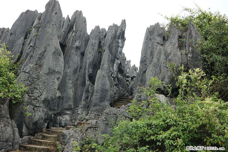 桂林旅游名城景点：灌阳文市石林 - 游山玩水 - 黔南生活社区 - 黔南28生活网 qn.28life.net