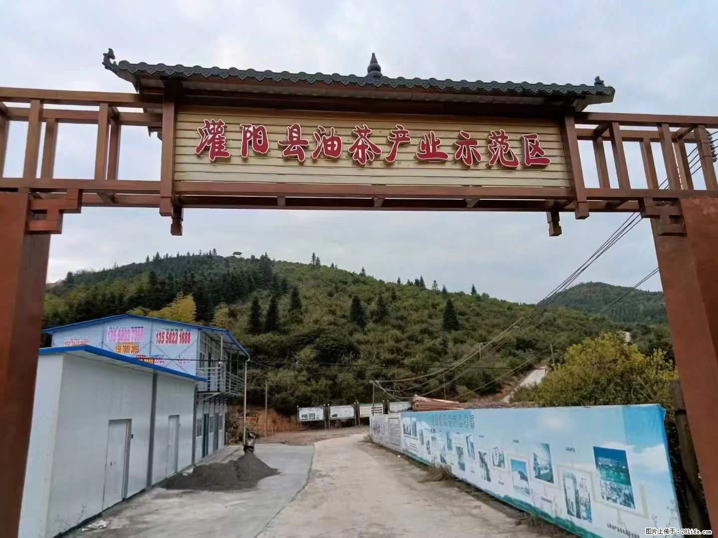 【灌阳县油茶产业示范区】一个有着充实的精神生活的人，对待身外之物自会有一种淡泊的态度 - 美食天地 - 黔南生活社区 - 黔南28生活网 qn.28life.net
