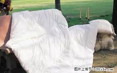 被子有异味？只要这样做，比晒太阳还强100倍！ - 家居生活 - 黔南生活社区 - 黔南28生活网 qn.28life.net