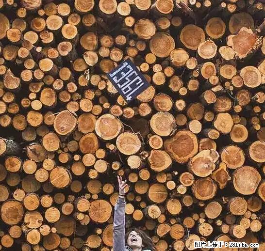 辞掉工作周游世界？现在他们在洗厕所…… - 游山玩水 - 黔南生活社区 - 黔南28生活网 qn.28life.net