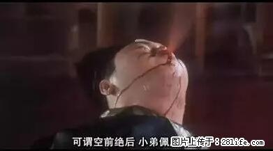笑癫了！一女的怀孕三年未生，他终于忍不住了... - 娱乐八卦 - 黔南生活社区 - 黔南28生活网 qn.28life.net