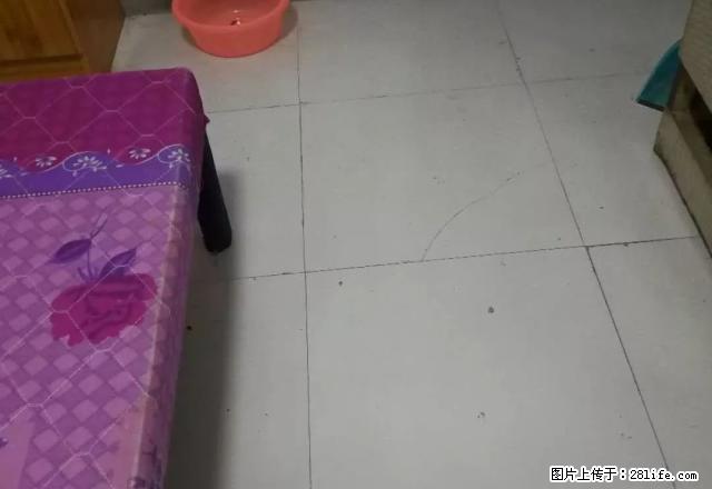 二小旁观天下单身公寓出租 - 房屋出租 - 房屋租售 - 黔南分类信息 - 黔南28生活网 qn.28life.net