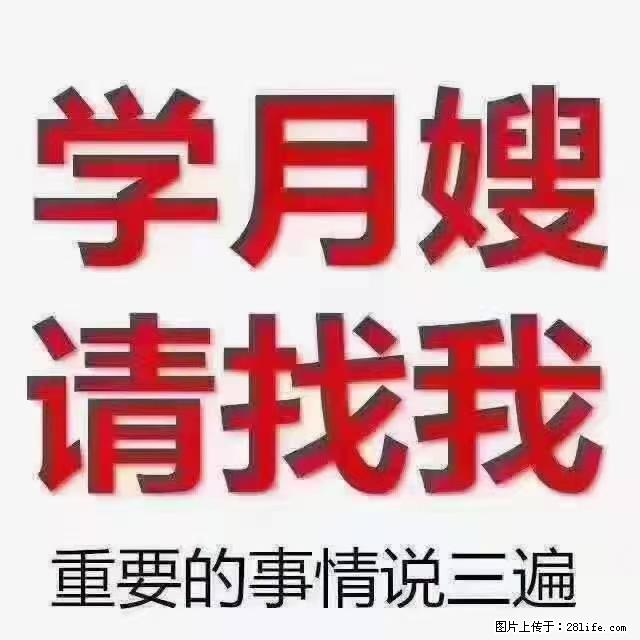 【招聘】月嫂，上海徐汇区 - 职场交流 - 黔南生活社区 - 黔南28生活网 qn.28life.net