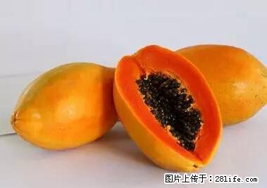 晕车、脚气、牙齿变黄、皮肤粗糙？学会这些三分钟搞定！ - 黔南生活资讯 - 黔南28生活网 qn.28life.net