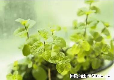 晕车、脚气、牙齿变黄、皮肤粗糙？学会这些三分钟搞定！ - 黔南生活资讯 - 黔南28生活网 qn.28life.net
