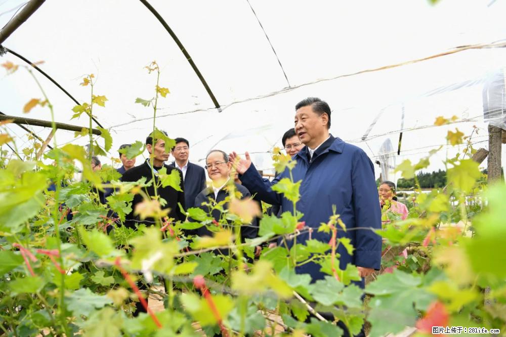 习近平赴广西考察调研 - 黔南生活资讯 - 黔南28生活网 qn.28life.net