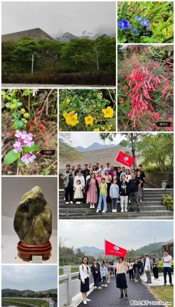 “粤灌文化 美好生活”油茶文化主题活动在广东深圳成功举办 - 黔南生活资讯 - 黔南28生活网 qn.28life.net