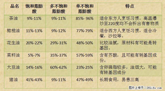 揭秘茶油的5大核心营养成分！被称为人体健康的“守护盾”！ - 黔南生活资讯 - 黔南28生活网 qn.28life.net