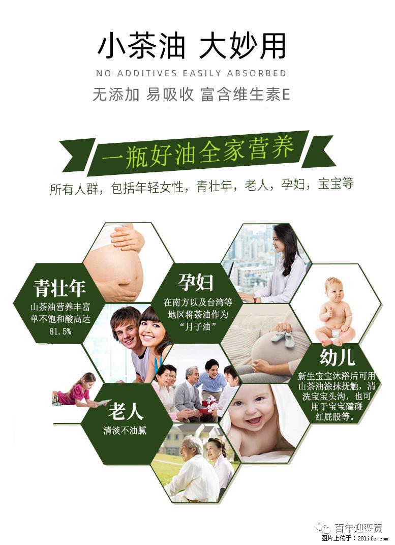 世界没有真相，只有认知，最好的食用油是中国的山茶油！ - 黔南生活资讯 - 黔南28生活网 qn.28life.net