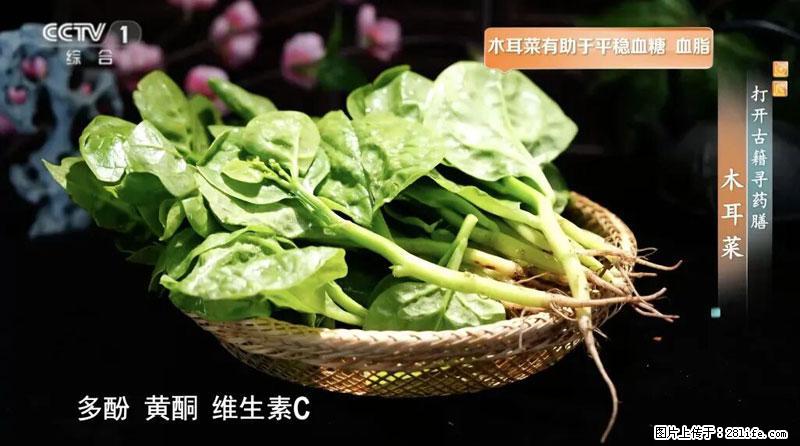 比牛奶补钙还厉害！凉血解毒、稳血糖...这菜冬天必吃，很多人却当草 - 黔南生活资讯 - 黔南28生活网 qn.28life.net