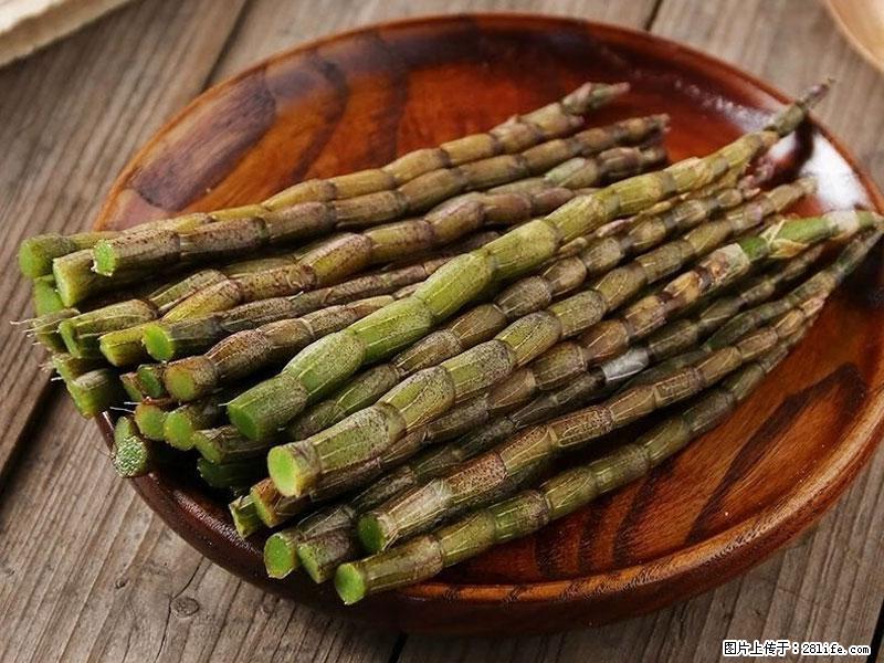 铁皮石斛的作用与功能主治 - 黔南生活资讯 - 黔南28生活网 qn.28life.net